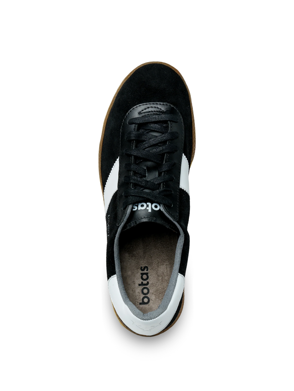 Spider Black