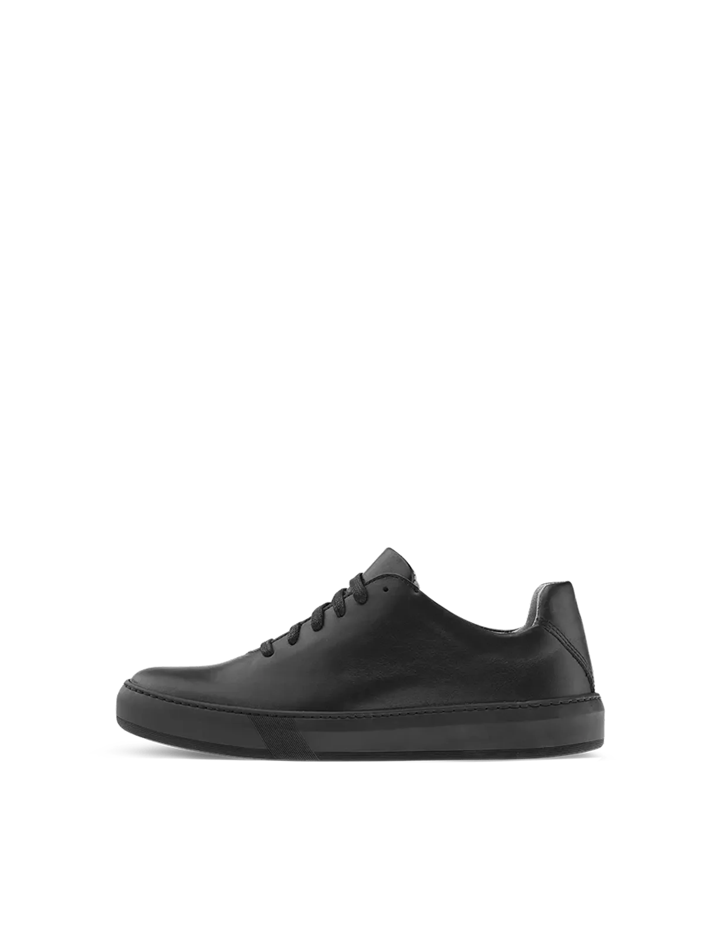 Teny Dark